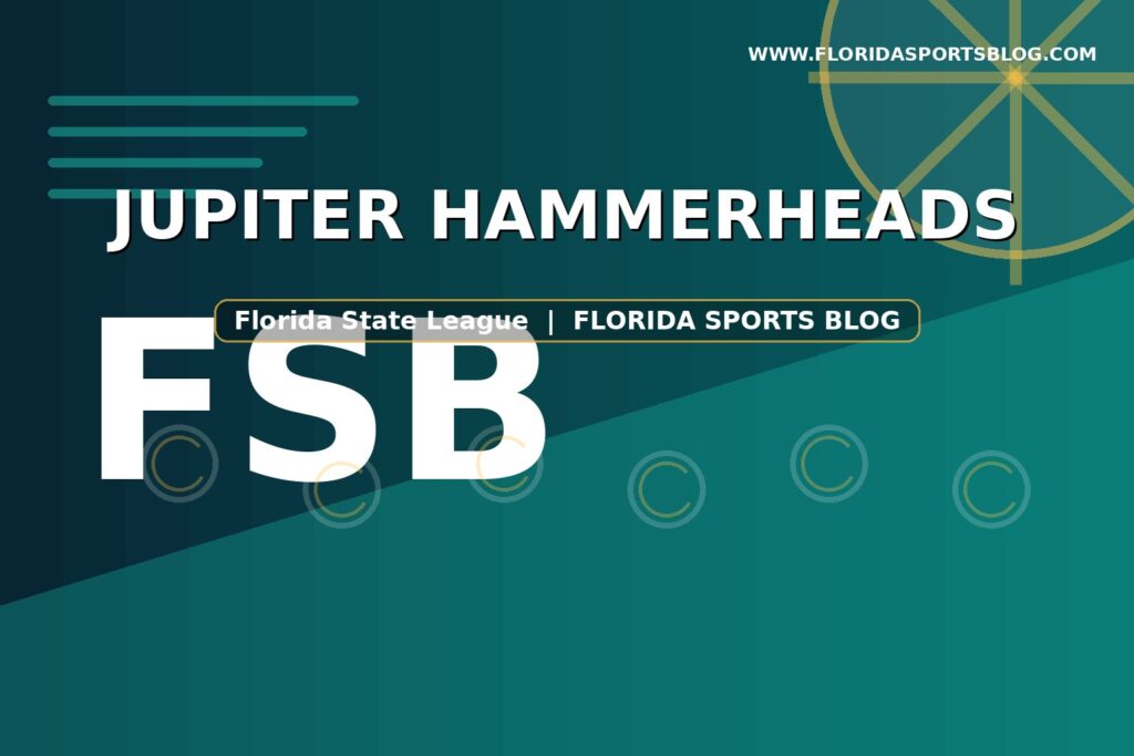 Jupiter Hammerheads category image