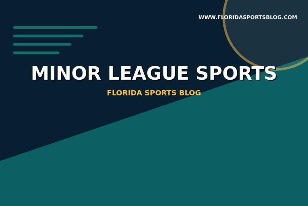 Minor League Sports category image